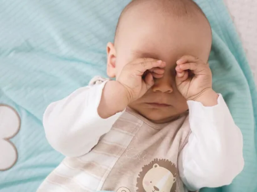 ME88 Esports Live TV Stream